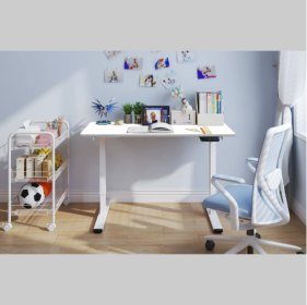 Electric Standing Desk Dual Motor Adjustable Height Desk Home Office Computer Workstation Sit Stand Up Desk,48 X 24 Inches (Color: White)